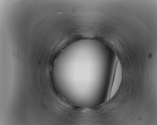 X0000091560229200708171108