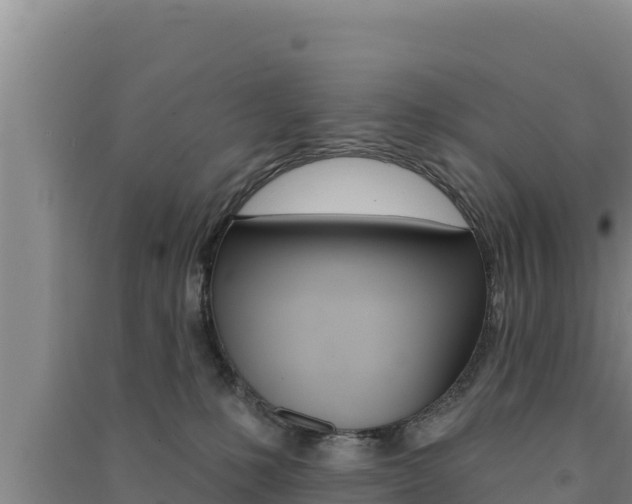 X0000091560231200708171108