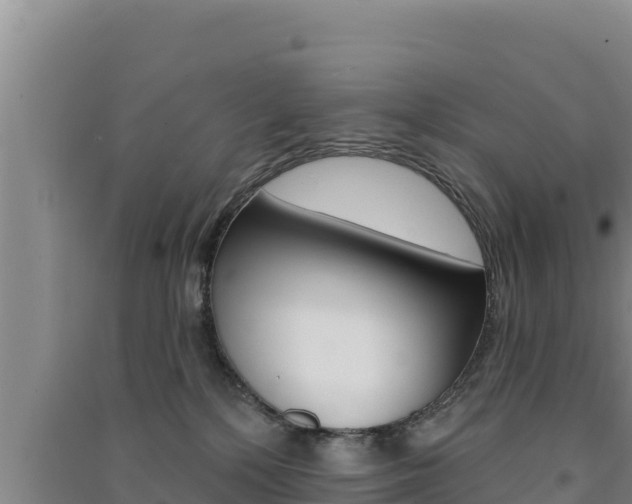 X0000091560232200708171108