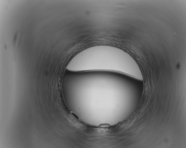 X0000091560233200708171108