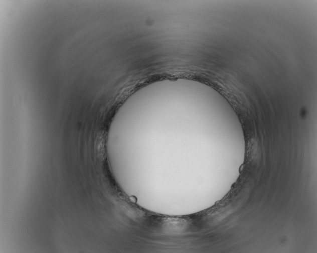 X0000091560234200708171108