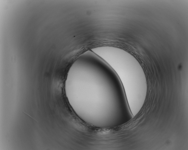 X0000091560235200708171108