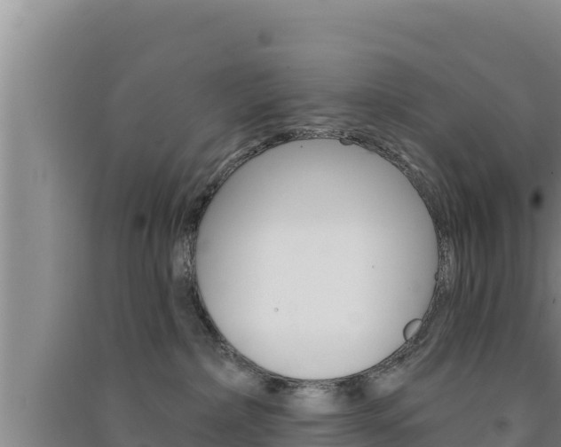 X0000091560236200708171108