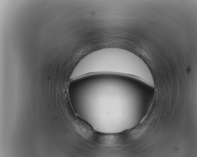 X0000091560237200708171108