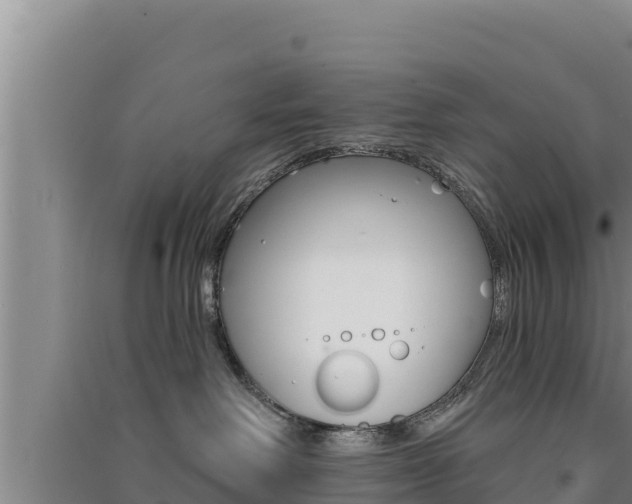 X0000091560238200708171108