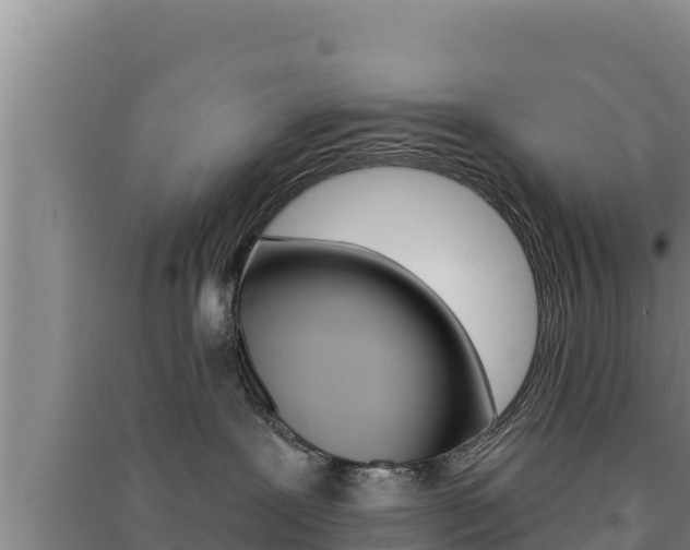 X0000091560239200708171108