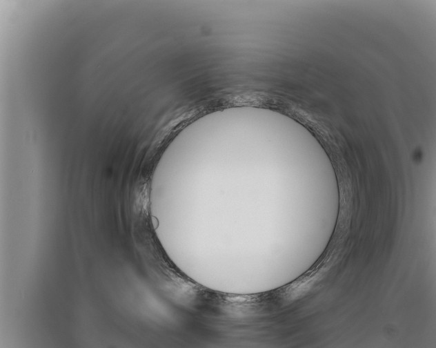 X0000091560240200708171108