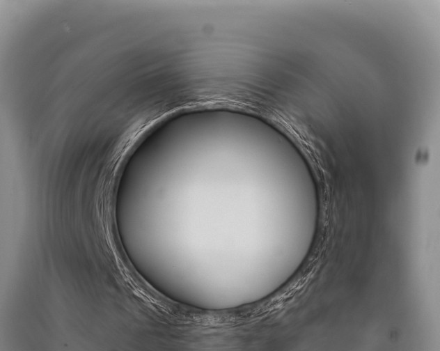 X0000091560241200708171107