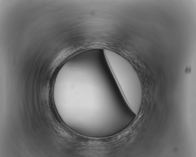 X0000091560242200708171107