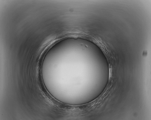 X0000091560243200708171107