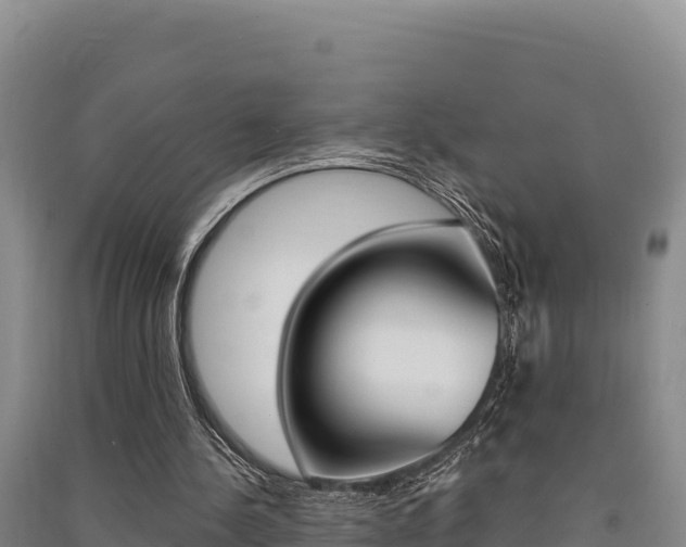 X0000091560244200708171107