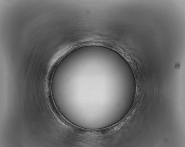 X0000091560245200708171107