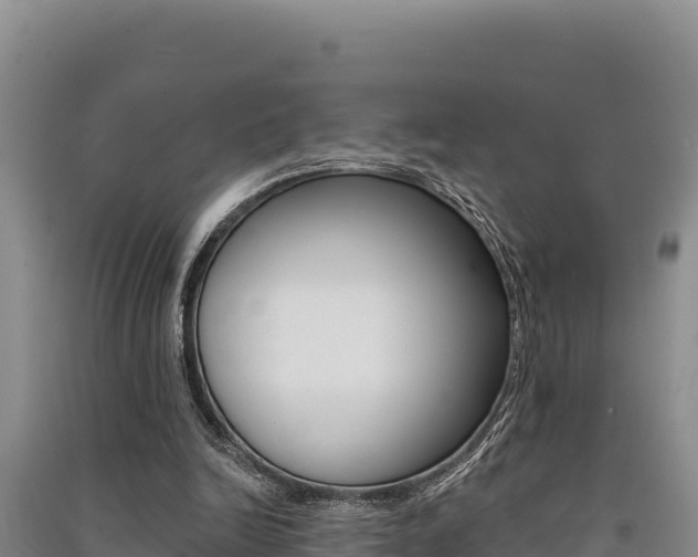 X0000091560246200708171107