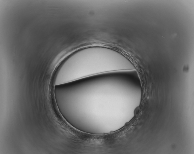 X0000091560247200708171107