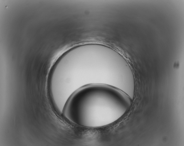 X0000091560248200708171107