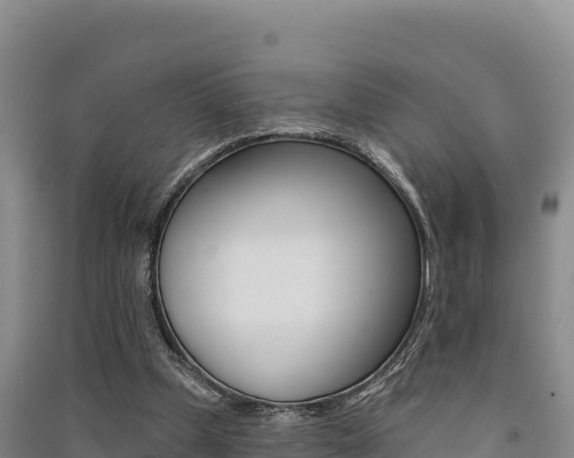 X0000091560249200708171107