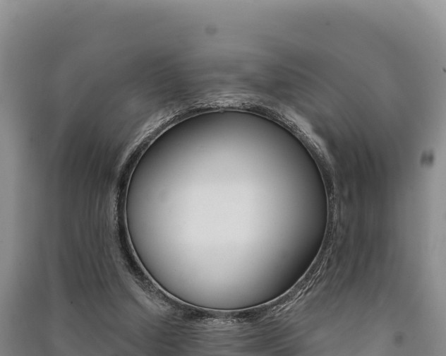 X0000091560250200708171107