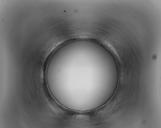 X0000091560251200708171107