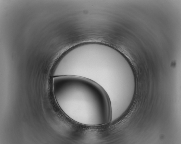 X0000091560252200708171107