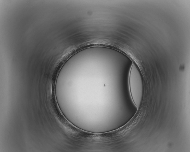 X0000091560253200708171107