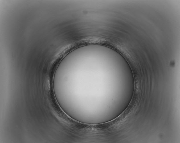 X0000091560254200708171107