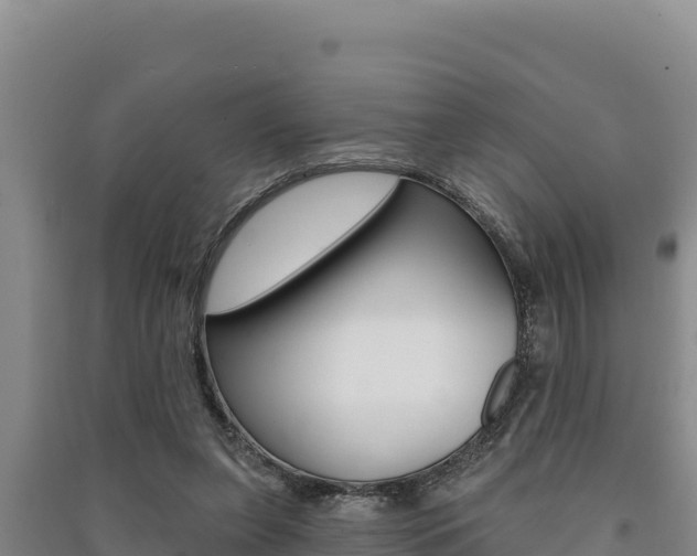 X0000091560255200708171107