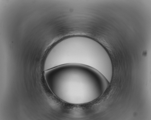 X0000091560256200708171107