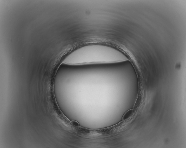 X0000091560257200708171107