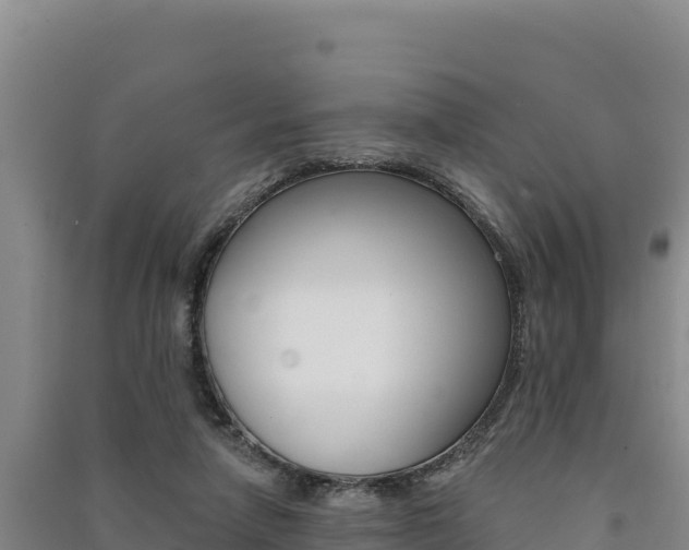 X0000091560258200708171107