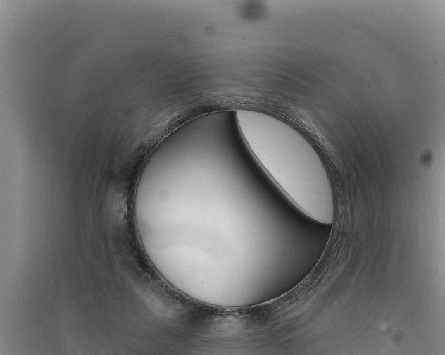 X0000091560259200708171107