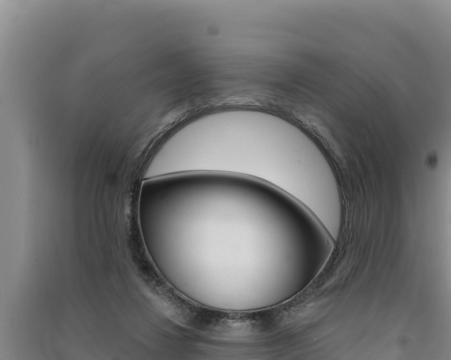 X0000091560260200708171107