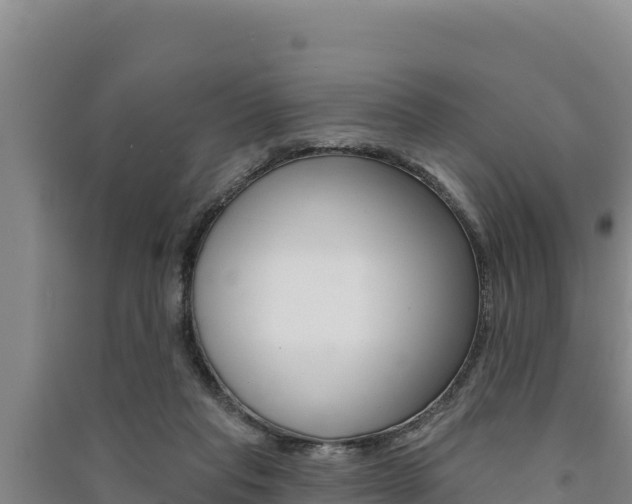 X0000091560261200708171107