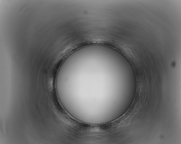 X0000091560262200708171107