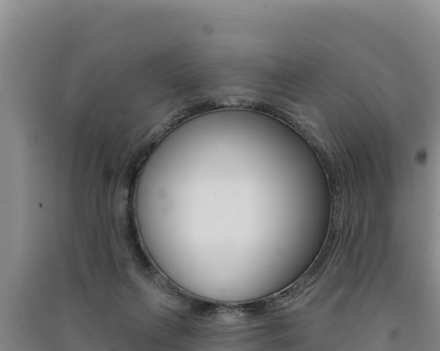 X0000091560263200708171107