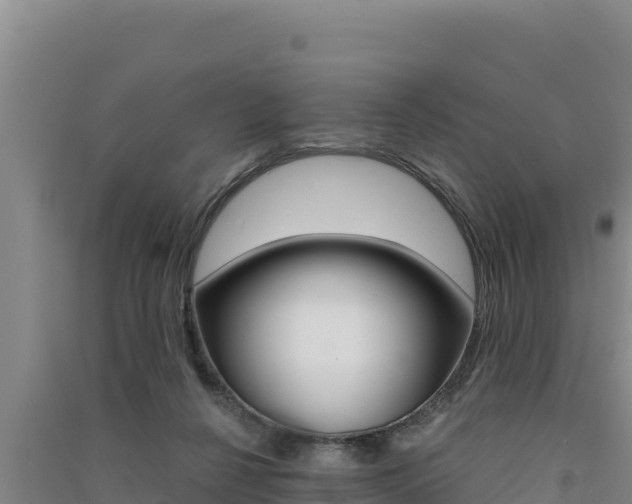 X0000091560264200708171107