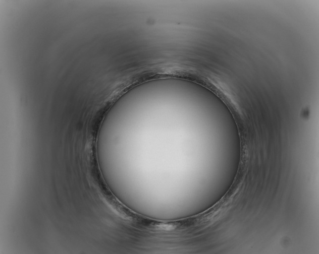 X0000091560265200708171107