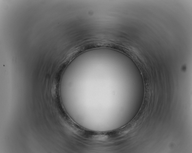 X0000091560266200708171107