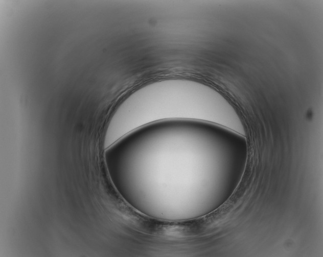 X0000091560268200708171107