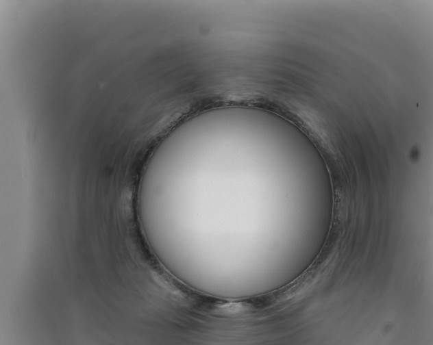 X0000091560269200708171107