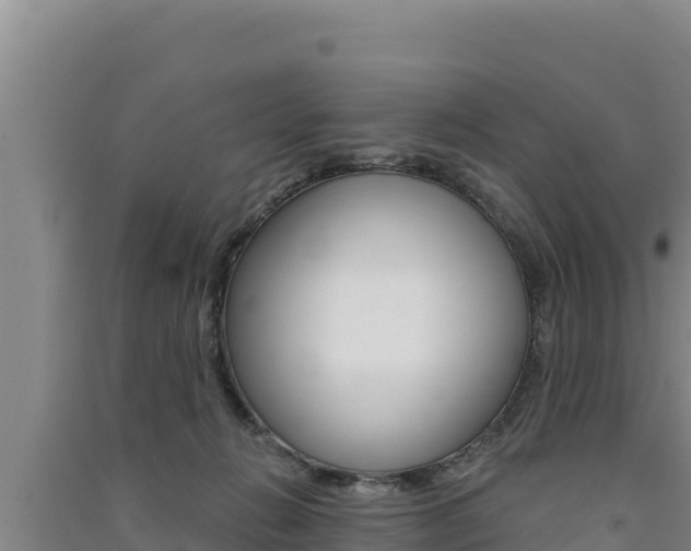 X0000091560270200708171107