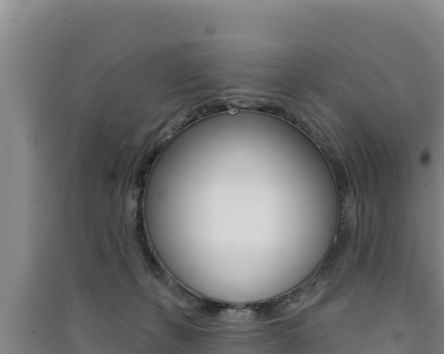 X0000091560271200708171107