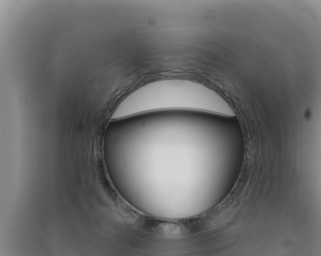 X0000091560272200708171107