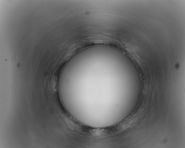 X0000091560273200708171107