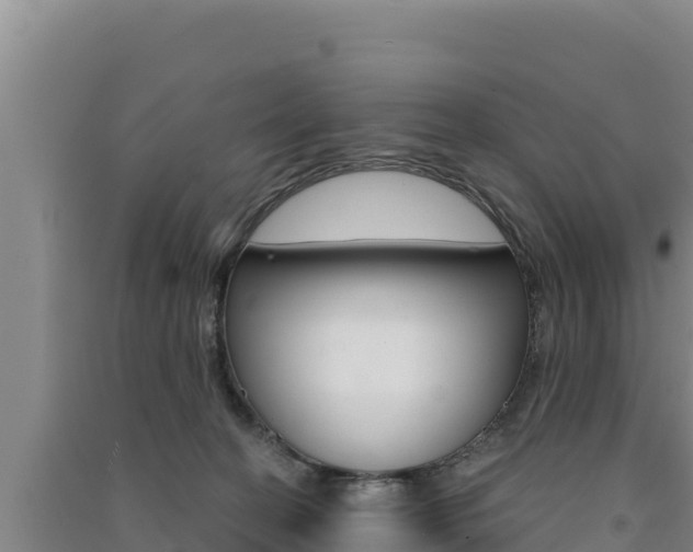 X0000091560274200708171107