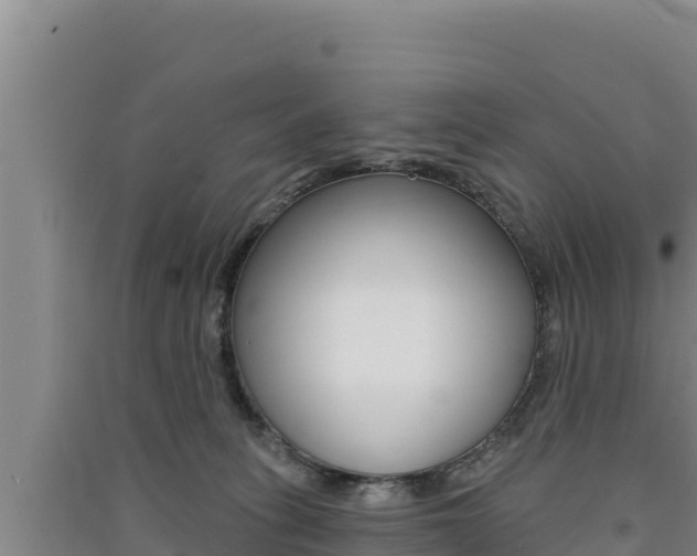 X0000091560275200708171107