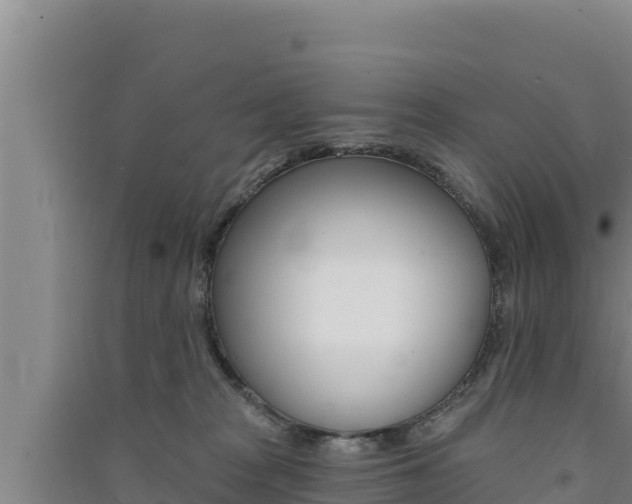 X0000091560277200708171107