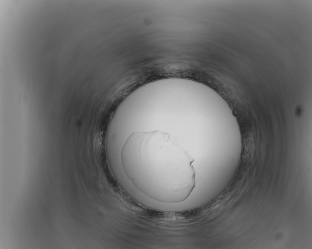 X0000091560278200708171107