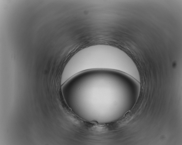 X0000091560280200708171107