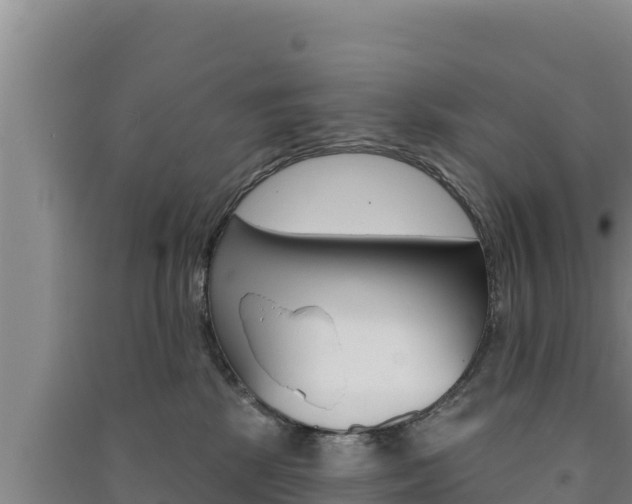 X0000091560281200708171107