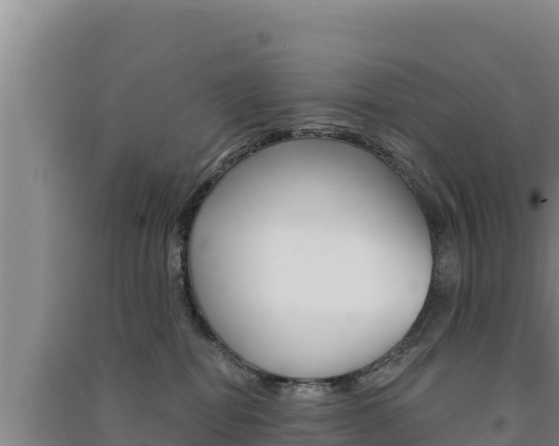 X0000091560282200708171107